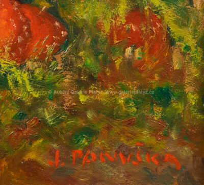  / Muchomůrky / Jaroslav Panuška