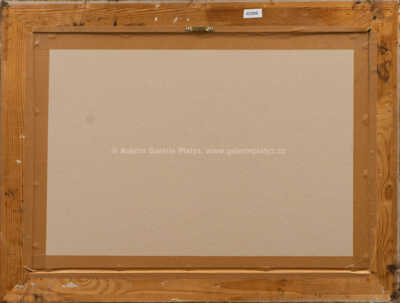  / Cesta / Josef Jíra