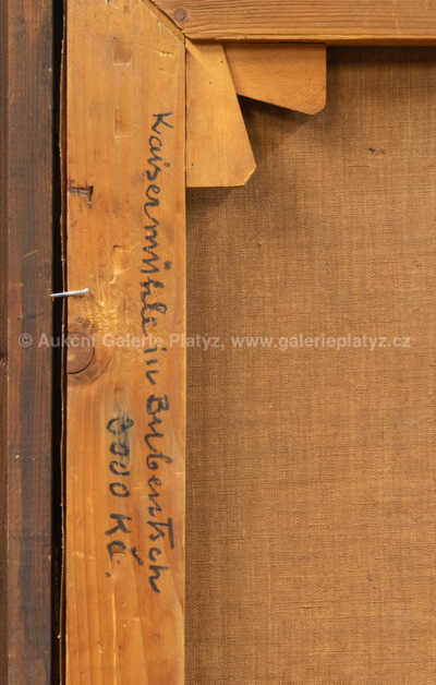  / Kytice / Maxim Kopf