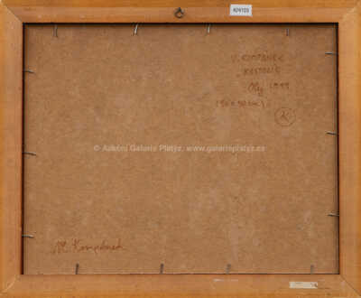  / Kostelík / Vladimír Kompánek