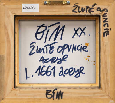  / Žluté opuncie / Tomáš Bím