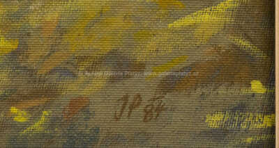  / Maserati / Jan Pištěk