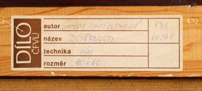  / Důvěrnosti / Viktorie Chaloupková