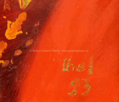  / Důvěrnosti / Viktorie Chaloupková