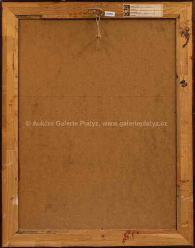  / Důvěrnosti / Viktorie Chaloupková