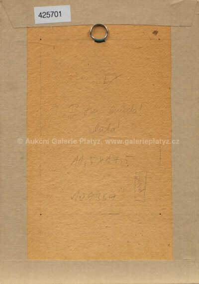  / Vegetace / František Muzika