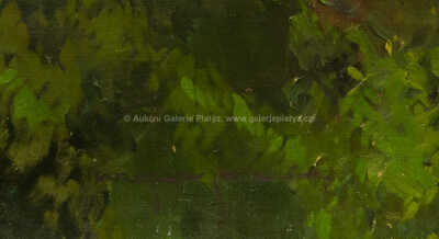  / Pražské panorama / Jaroslav Šetelík