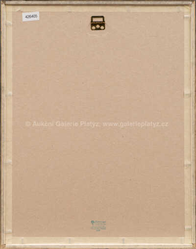  / Jana Luk Looks / Jan Saudek