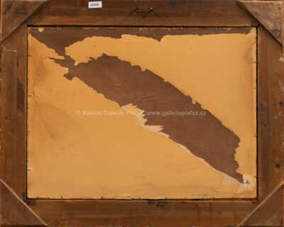  / Vlčí máky u Sedmihorek / František Kaván