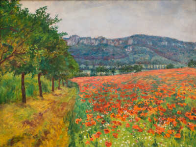  / Vlčí máky u Sedmihorek / František Kaván