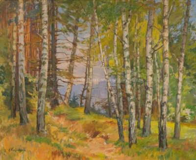  / V lese / Božena Vohánková