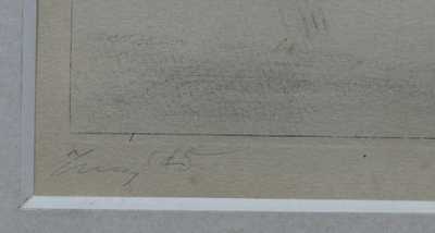  / Hadí muž / František  Tichý