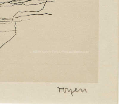  / Skalnatý břeh / Marie Čermínová - Toyen