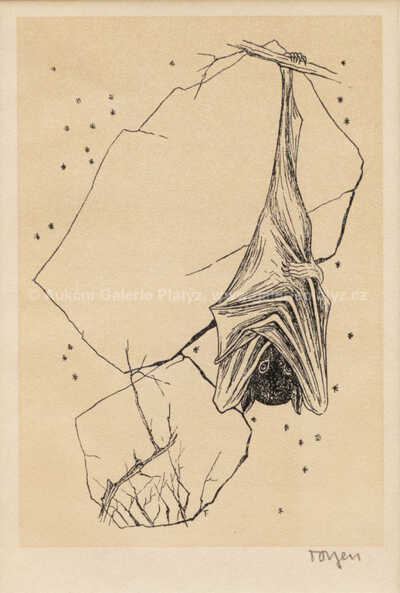  / Netopýr / Marie Čermínová - Toyen