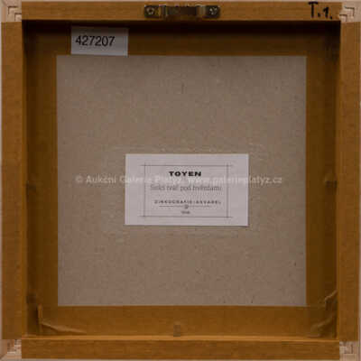  / Snící tvář pod hvězdami / Marie Čermínová - Toyen