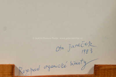  / Rozpad organické hmoty / Ota Janeček