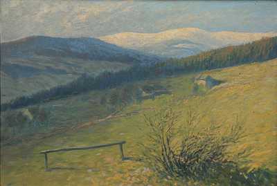  / Jaro v Krkonoších / Karel Havlata
