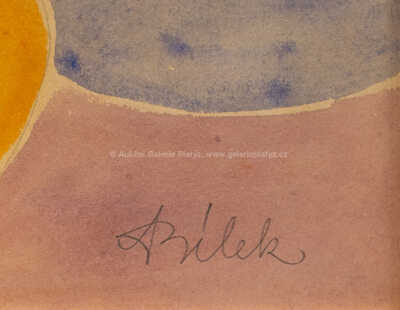  / Struktury / Alois Bílek