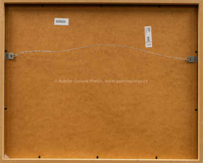  / Král a generál / Theodor Pištěk