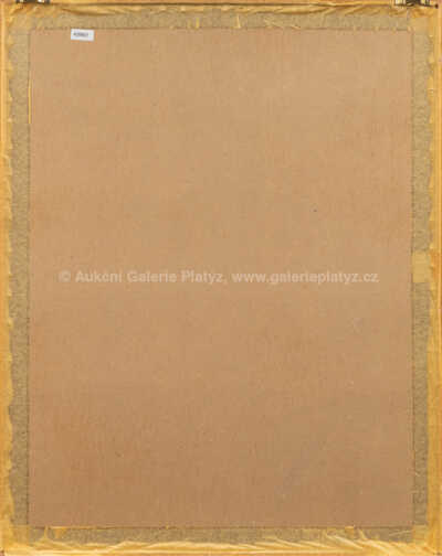  / Vanitas / Jiří Anderle