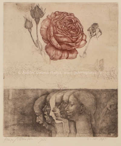  / Vanitas I / Jiří Anderle