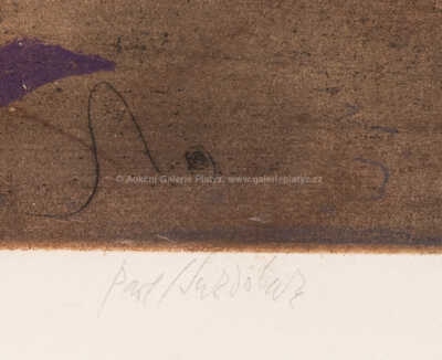  / Vesmír / Pavel Sukdolák