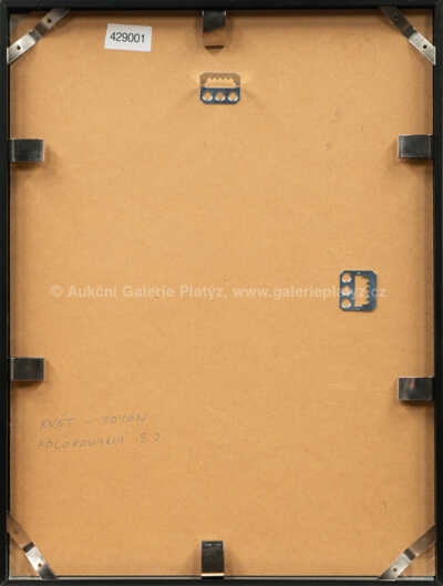  / Květ / Marie Čermínová - Toyen