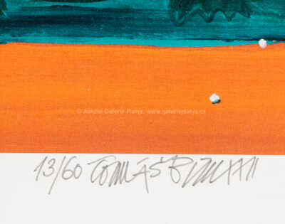  / Lacoste / Tomáš Bím