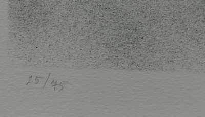  / Bez názvu / Vladimír Suchánek