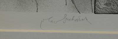  / Bez názvu / Vladimír Suchánek