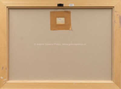  / Na procházce / Jaroslav Grus