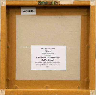 / Tvář s šiškami / Marie Čermínová - Toyen