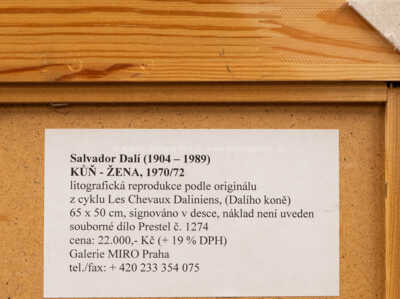  / Kůň - žena / Salvador Dalí