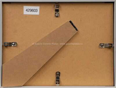  / Přátelé / Adolf Born