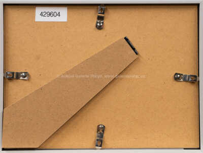  / Kočka a pes / Adolf Born