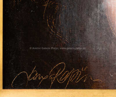  / Dívka s perlou / Jan Rapin