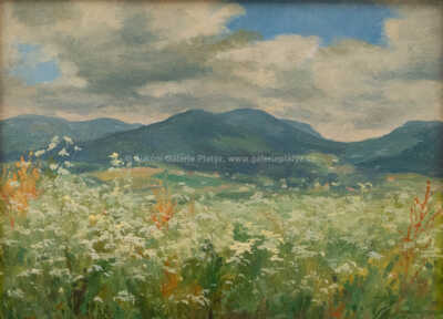  / Rozkvetlá louka / Karel Langer