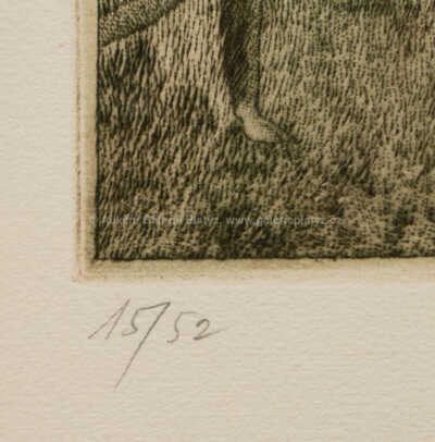  / Pozdrav Brehmovi / Adolf Born