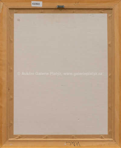  / Akt / Sára Saudková