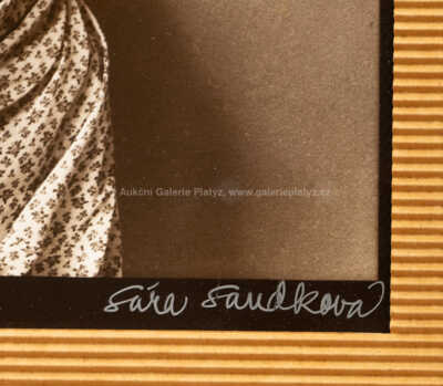  / Akt / Sára Saudková