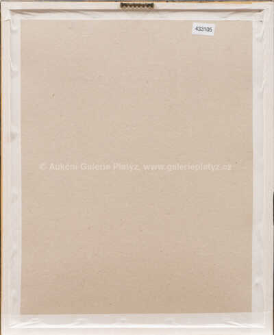  / Stín v cele (detail) / Olbram Zoubek