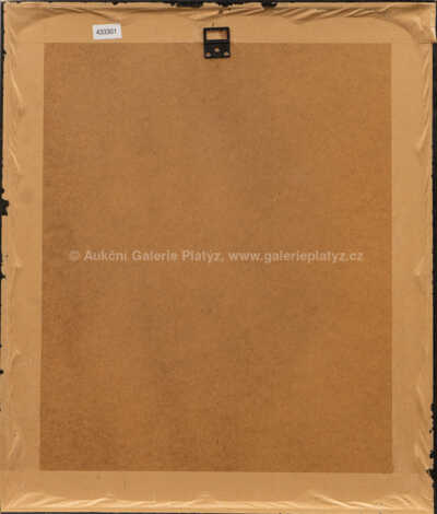  / Ve vykřičeném domě / Iva Hüttnerová