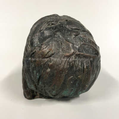  / Hlava Krista / František Bílek