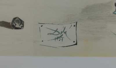  / Žena a motýl / Salvador Dalí