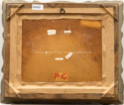  / Polní cesta / Jindřich Fürst