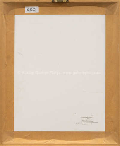  / Slavnost jezdců apokalypsy / Josef Jíra