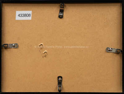  / Najáda / Jan  Zrzavý