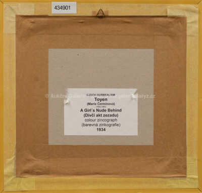  / Dívčí akt / Marie Čermínová - Toyen