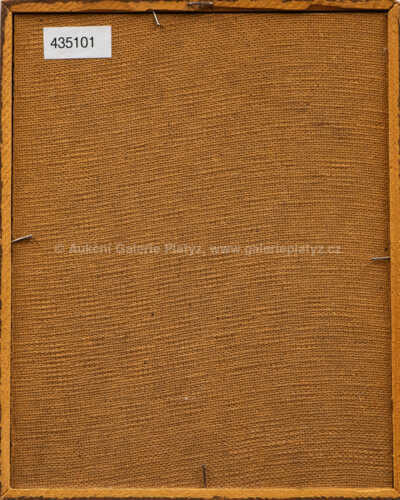  / Cabinet Portrait / Iva Hüttnerová