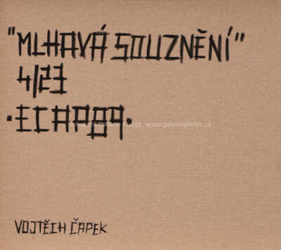  / Mlhavá souznění / Vojtěch Čapek